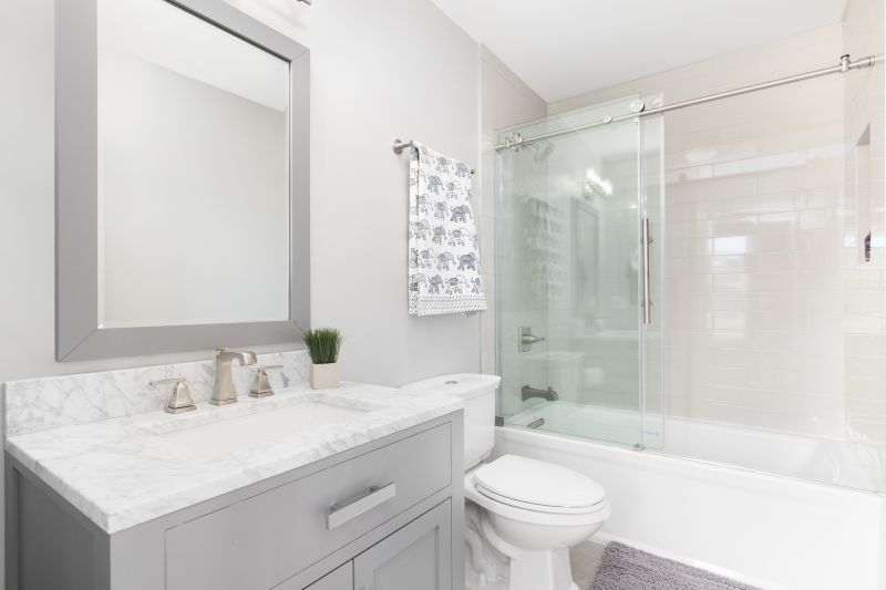 Tub To Shower Conversion in Madison, OH